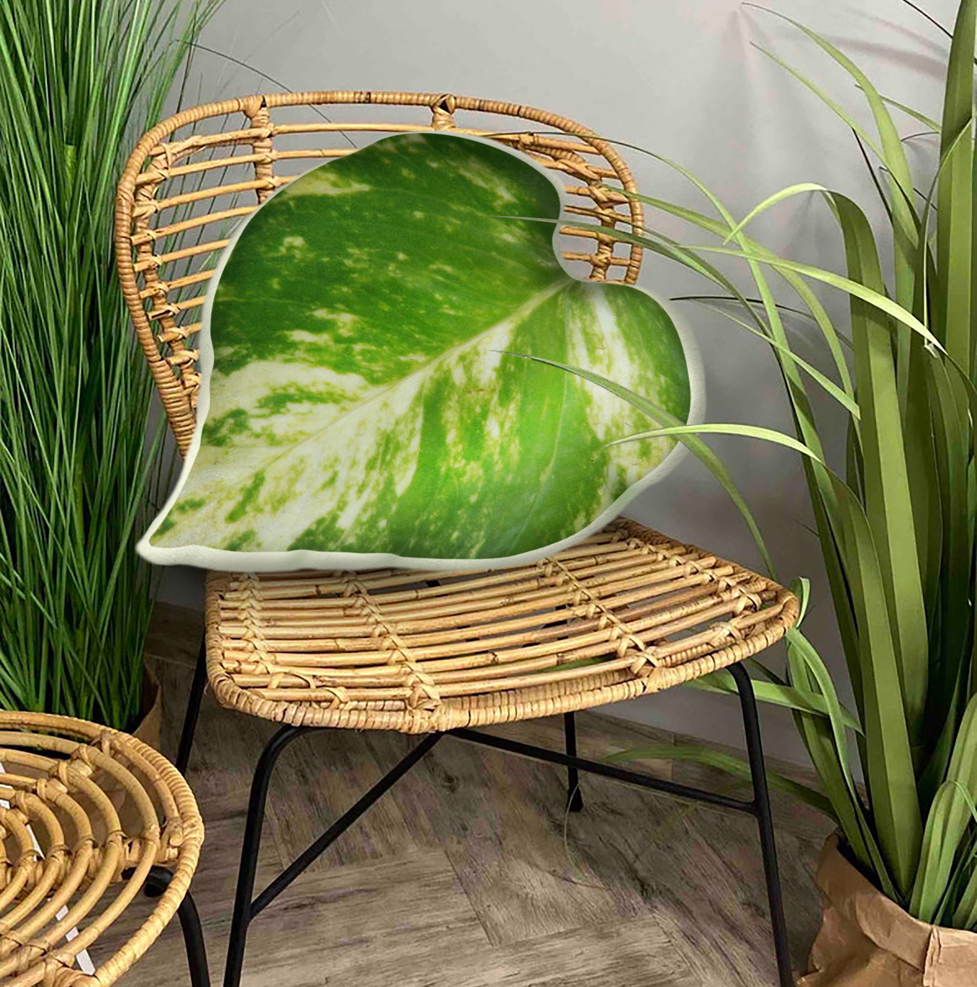 Epipremnum Aureum Manjula Leaf Pillo …