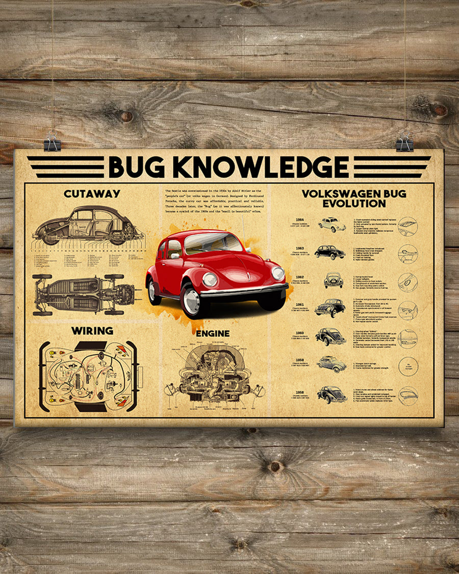 Volkswagen Beetle Bug Evolution Knowledge Poster