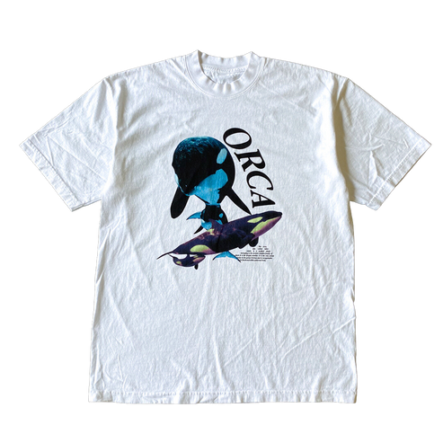 Orca Whales Tee Shirt Outfit