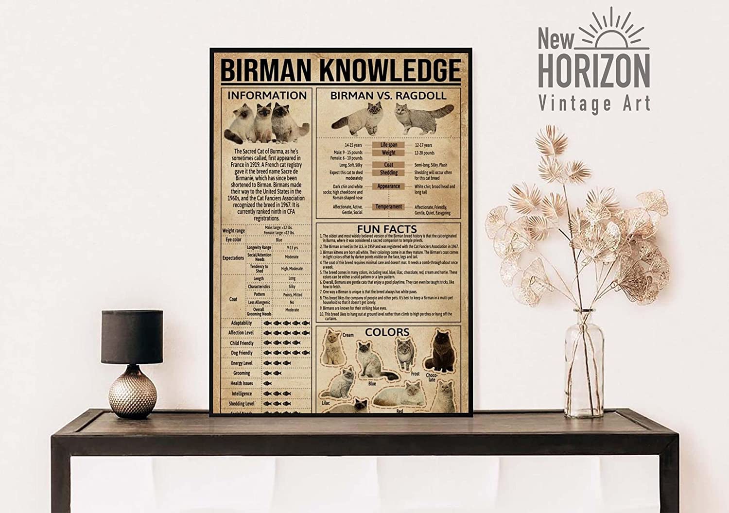 Birman Knowledge Poster Anatomy Of Birman Cat Wall Art Birman Cat Lover Poster Vintage Birman Cat Art Birman Cat Infor