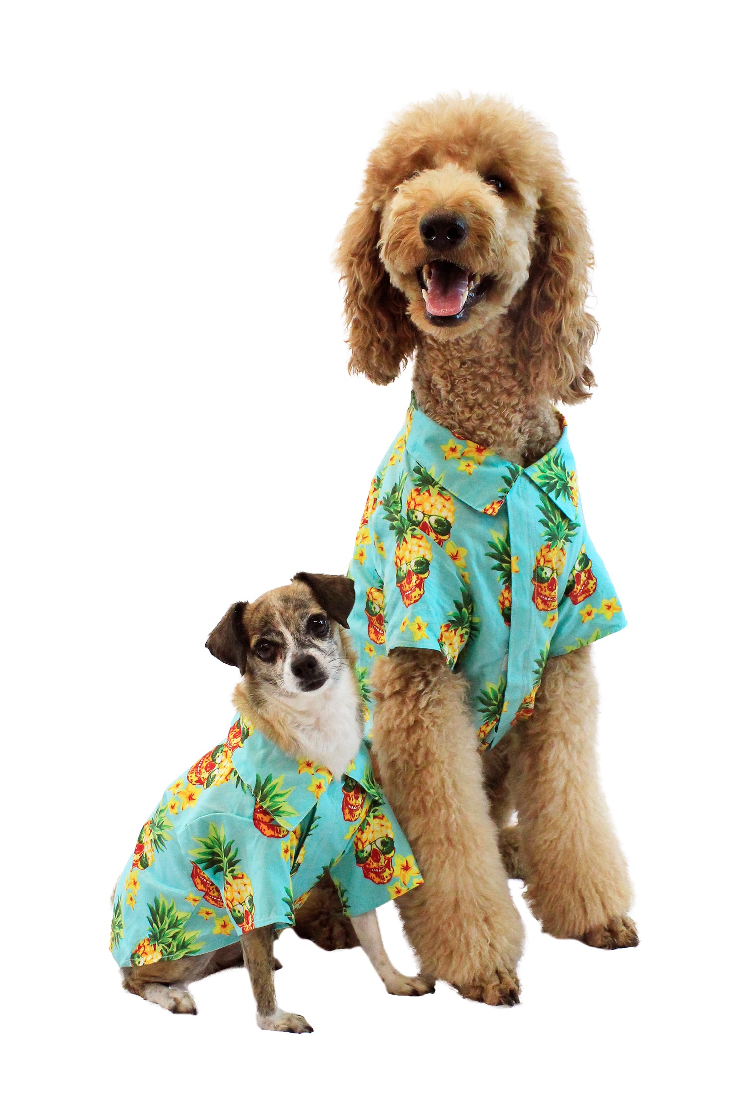 Dog Aloha Shirt In Pineapple Skull Turquoise