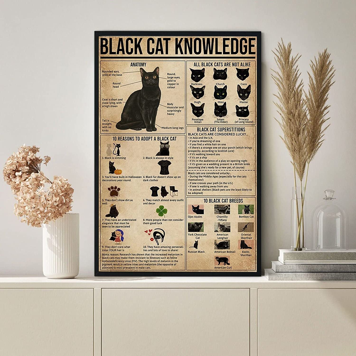 Black Cat Knowledge Poster Cat Poster Cat Art Print Black Cat Decor Cat Wall Decor Funny Cat Prints Black Cat Art F