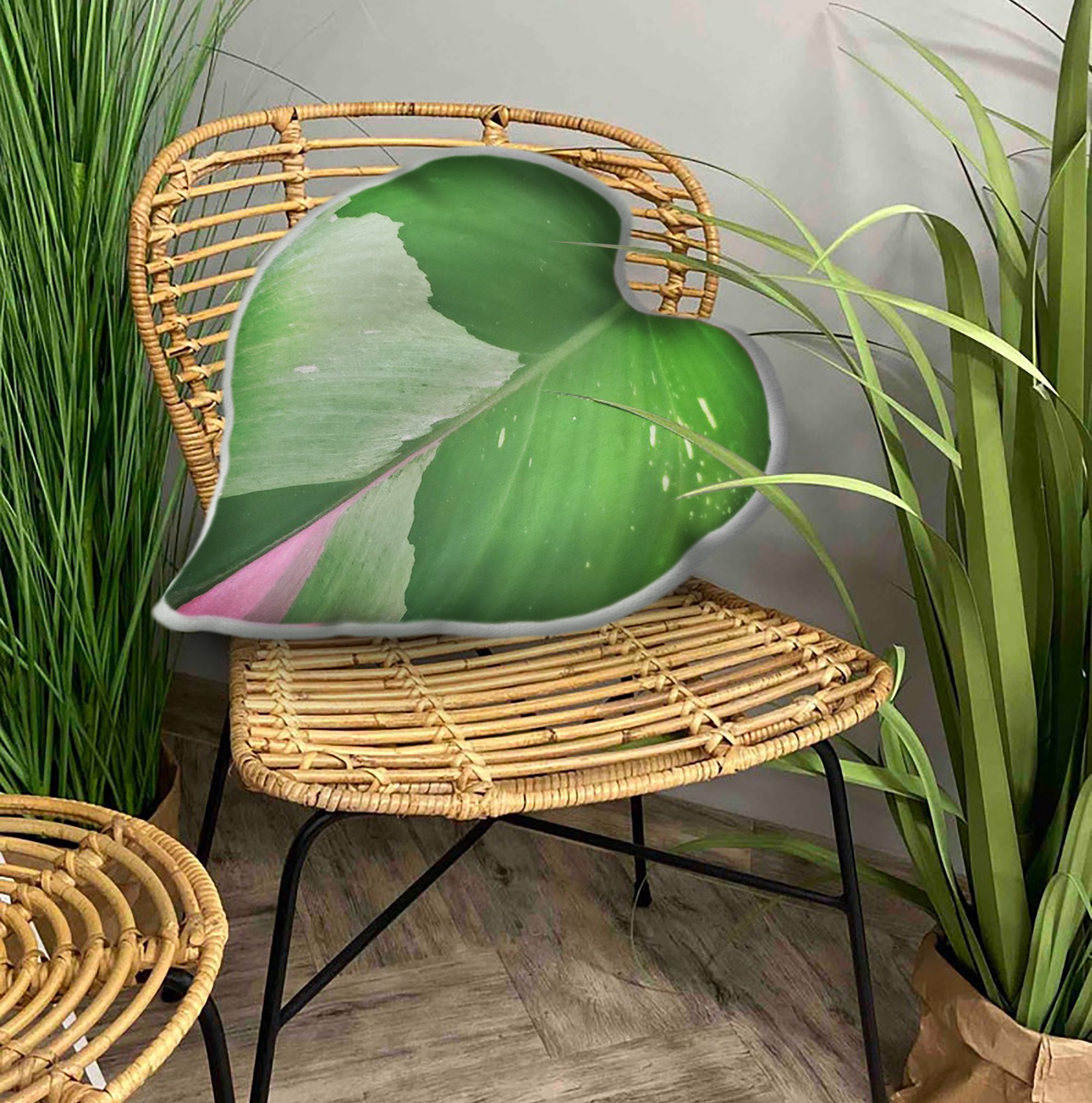 Philodendron White Princess Leaf Pil &hellip;