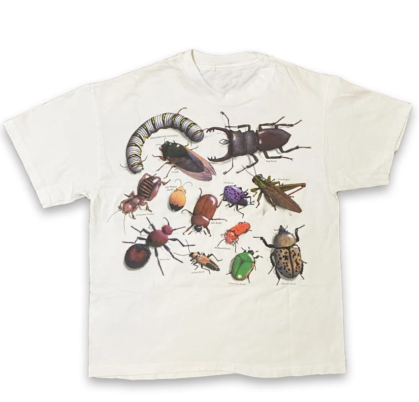 Vintage Entomology Tee Shirt Outfit