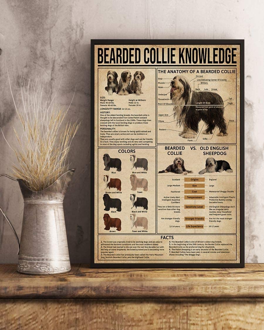 Bearded Collcie Knowledge Poster Perfect Ideas On Xmas Birthday Home Decor