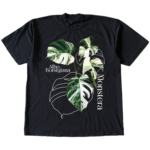 Monstera Borsigiana T shirt Outfit