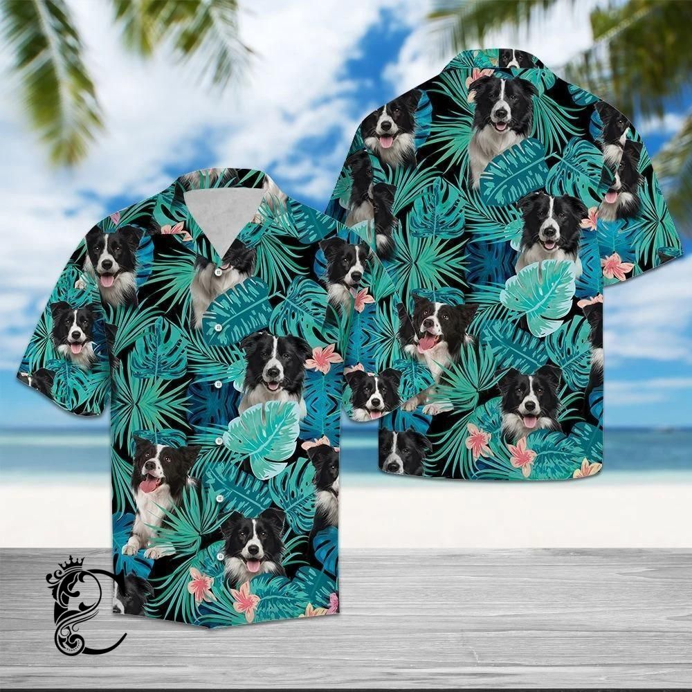 Chillicothemall Border Collie Tropic …