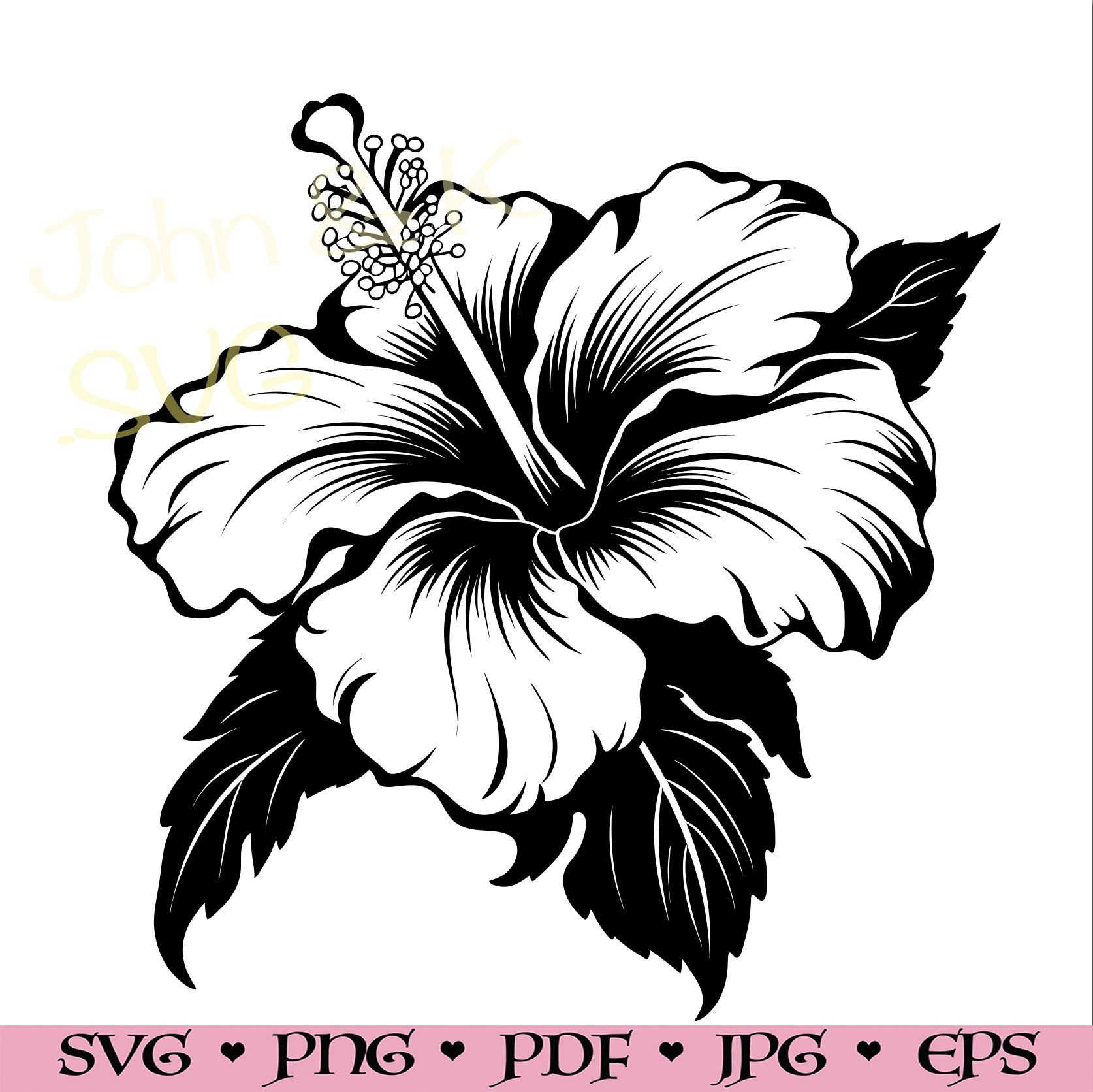 hibiscus flower Svg, hibiscus flower outline, flower Svg for Shirt, decor, Cutfile png Pdf jpg Iron on Vinyl Laser Engraving, Commercial use fashionstation 0608 4916