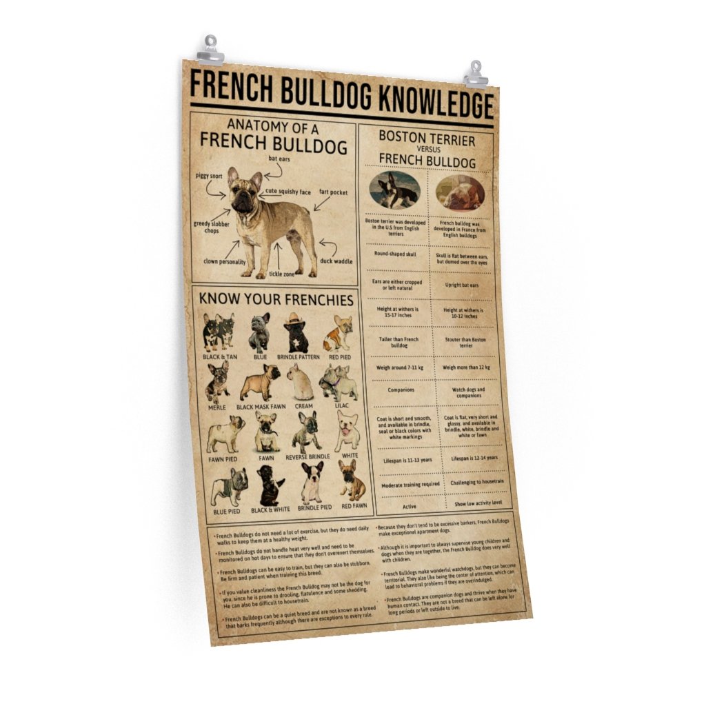 French Bulldog Knowledge – Pre &hellip;