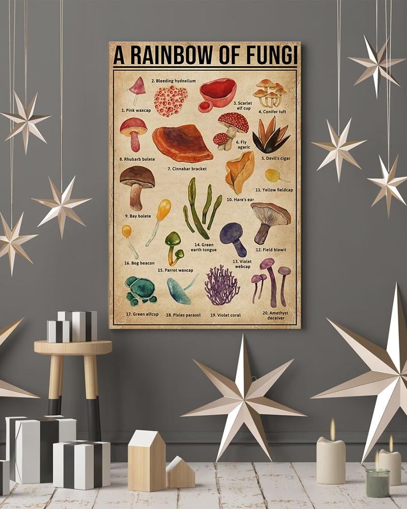 A Rainbow Of Fungi Mushrooms Knowledge Poster