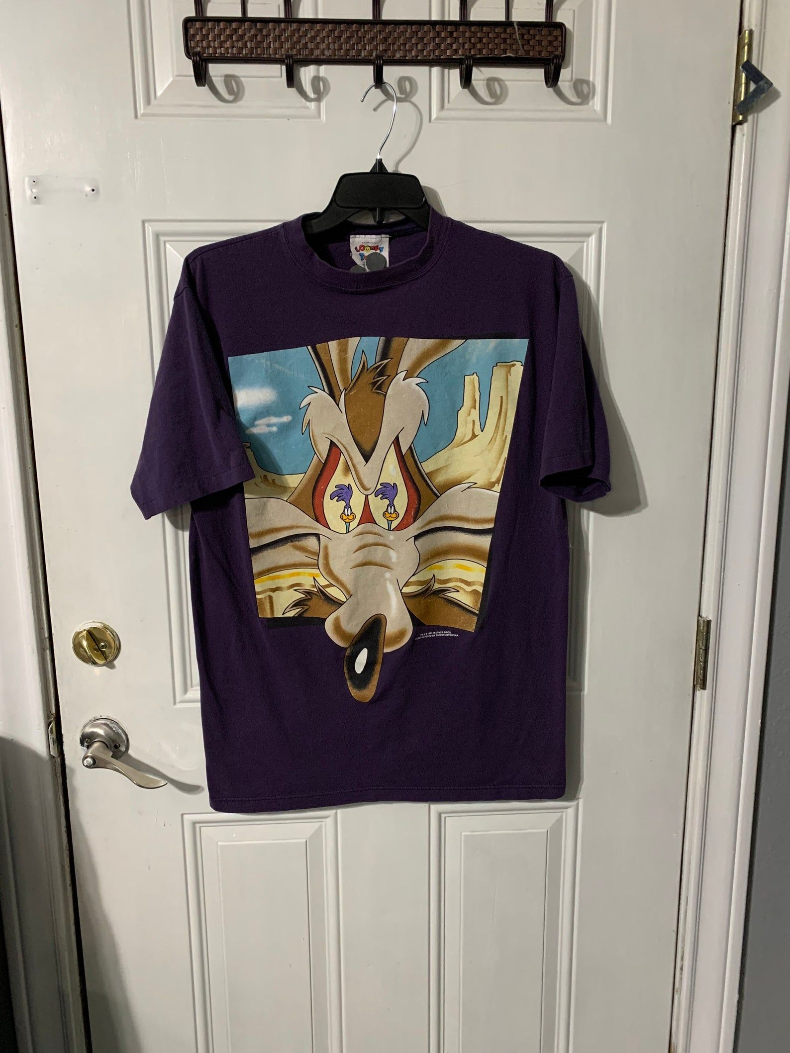 Vintage 1995 Warner Bros Coyote And Road Runner T-Shirt L By Sun Sportwear