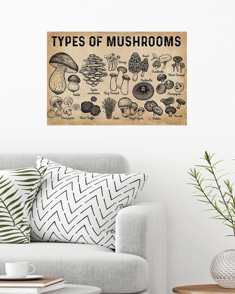 Types Of Mushrooms Poster Mushrooms Knowledge Poster