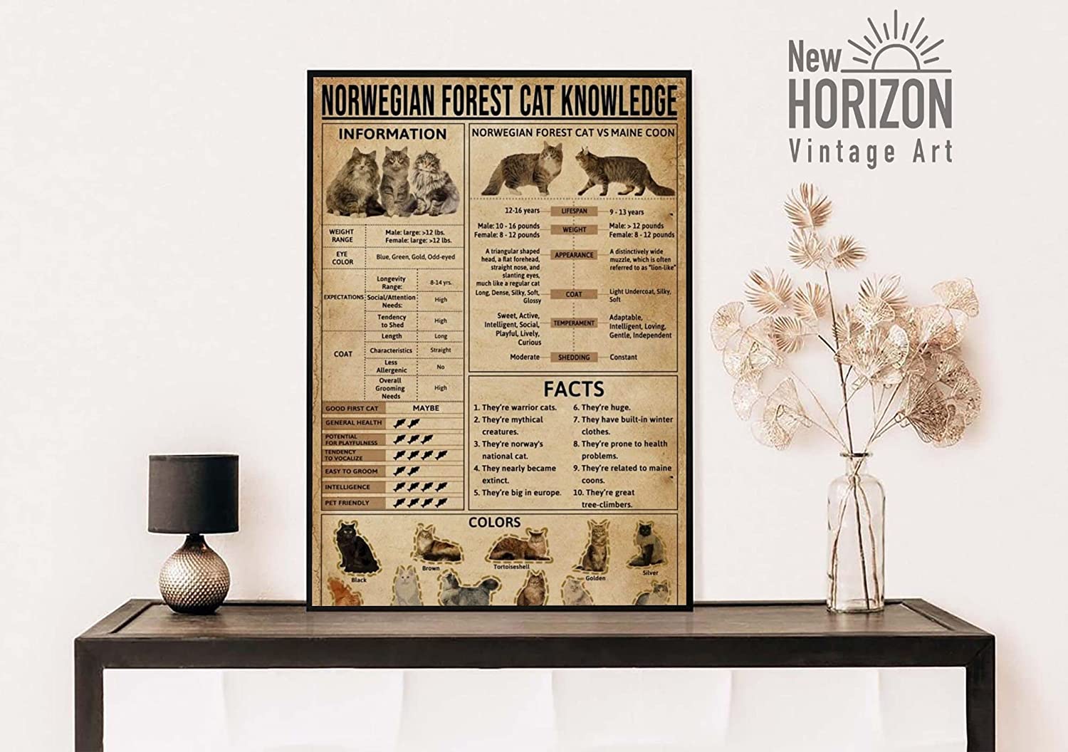 Norwegian Forest Cat Knowledge Poster Anatomy Of Norwegian Forest Cat Wall Art Norwegian Forest Cat Lover Norwegian For