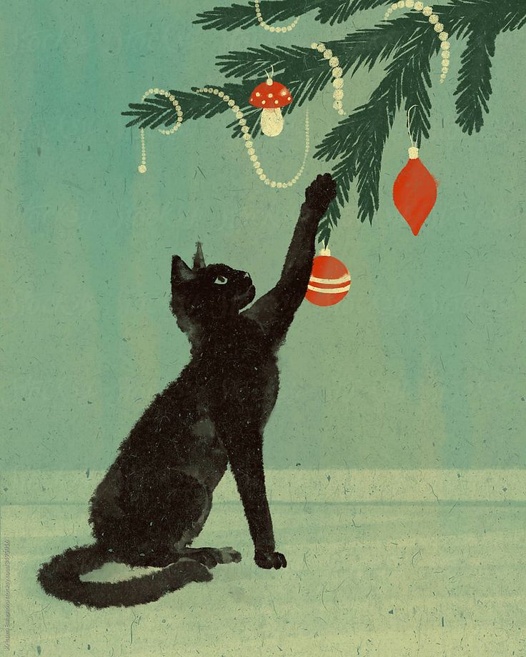 Cat Matching Pfp Christmas, Christma &hellip;