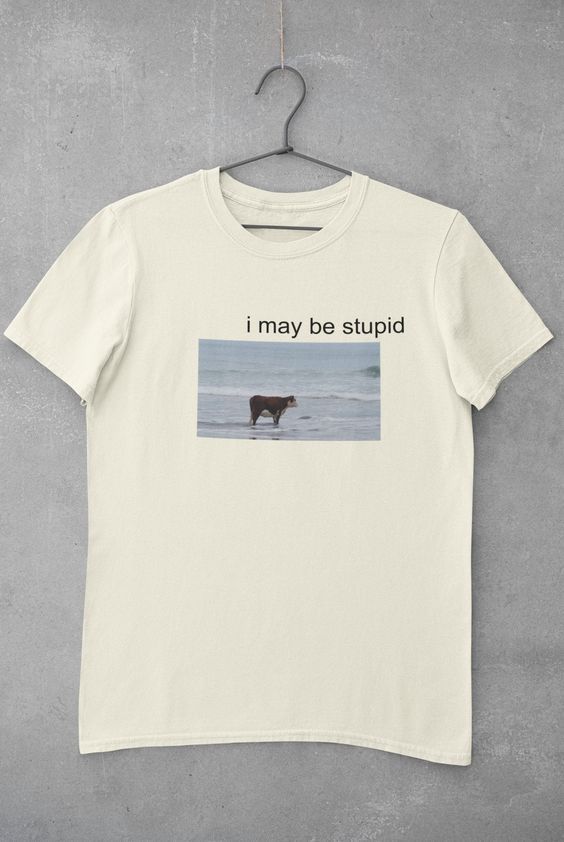 Shirt Ideas, I May Be Stupid Shirt