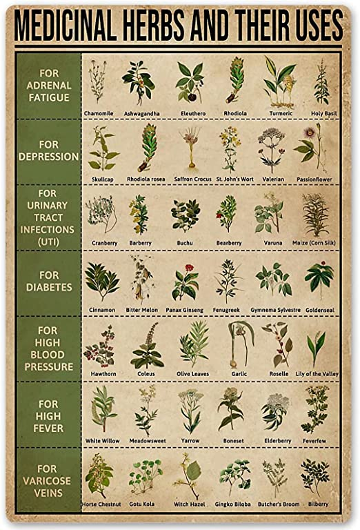 JIUFOTK Medicinal Herbs and Their Uses Posters Metal Signs Wall Decor Room Decor 8×12 Inches fashionstation 0608 2411