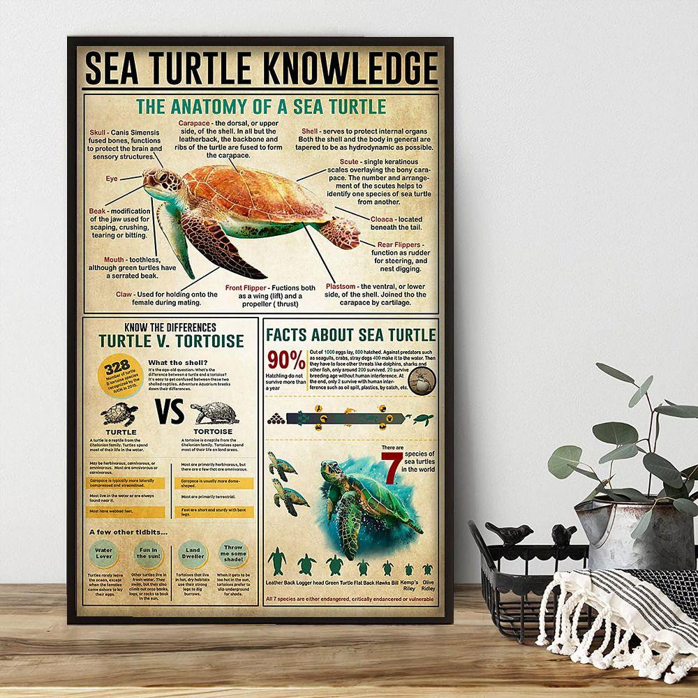 Sea Turtle Knowledge Poster Canvas Home D  cor Gifts For Men Women   Gigo Smart