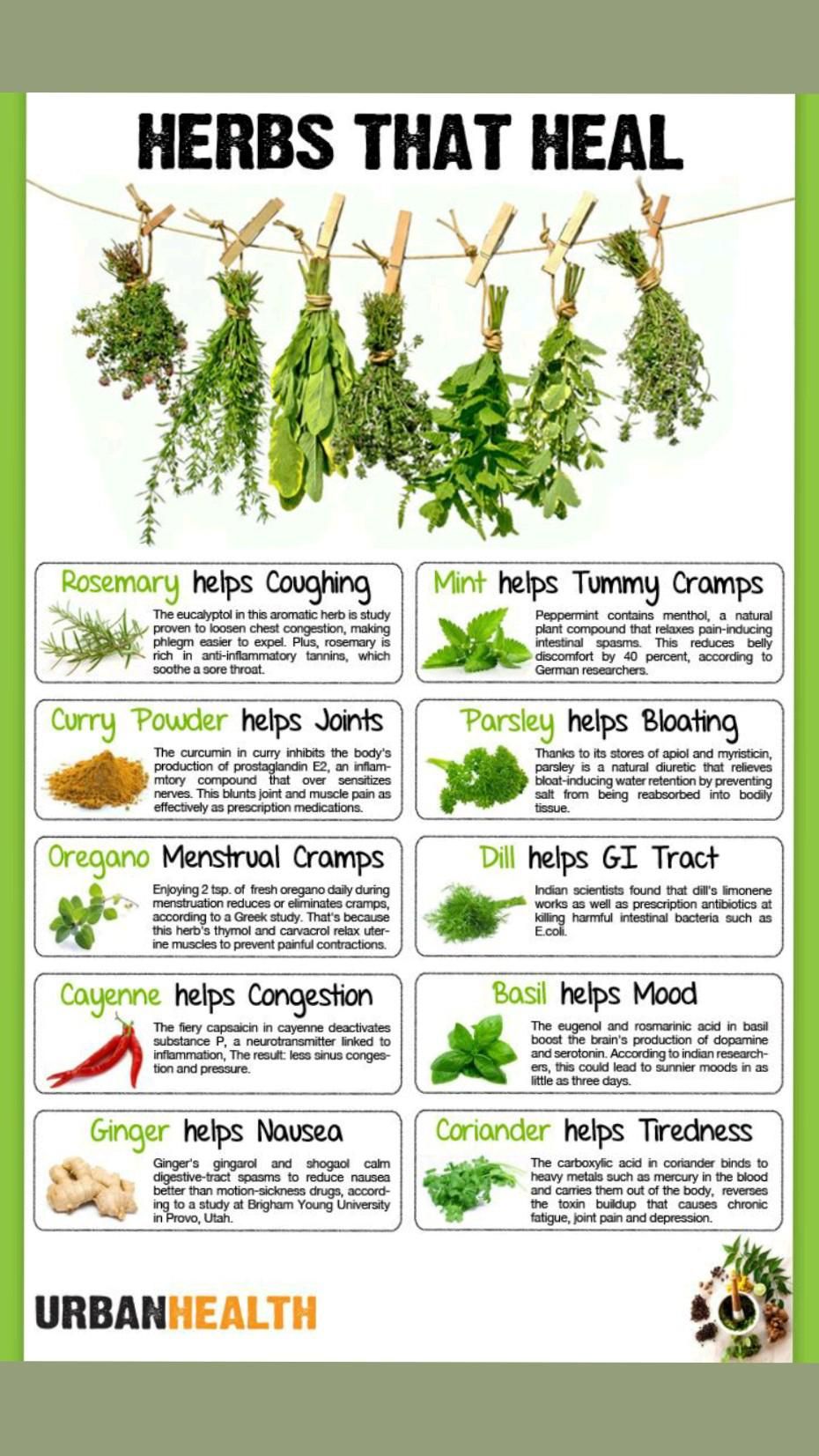 Herbs That Heal Poster